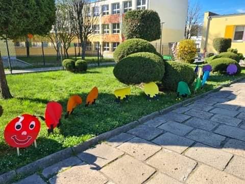 Zdjecie 41